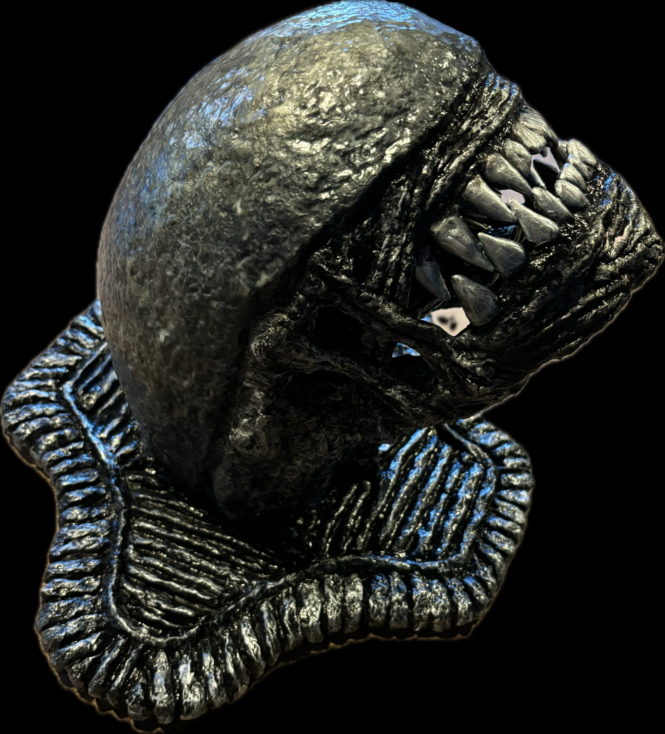 Xenomorph