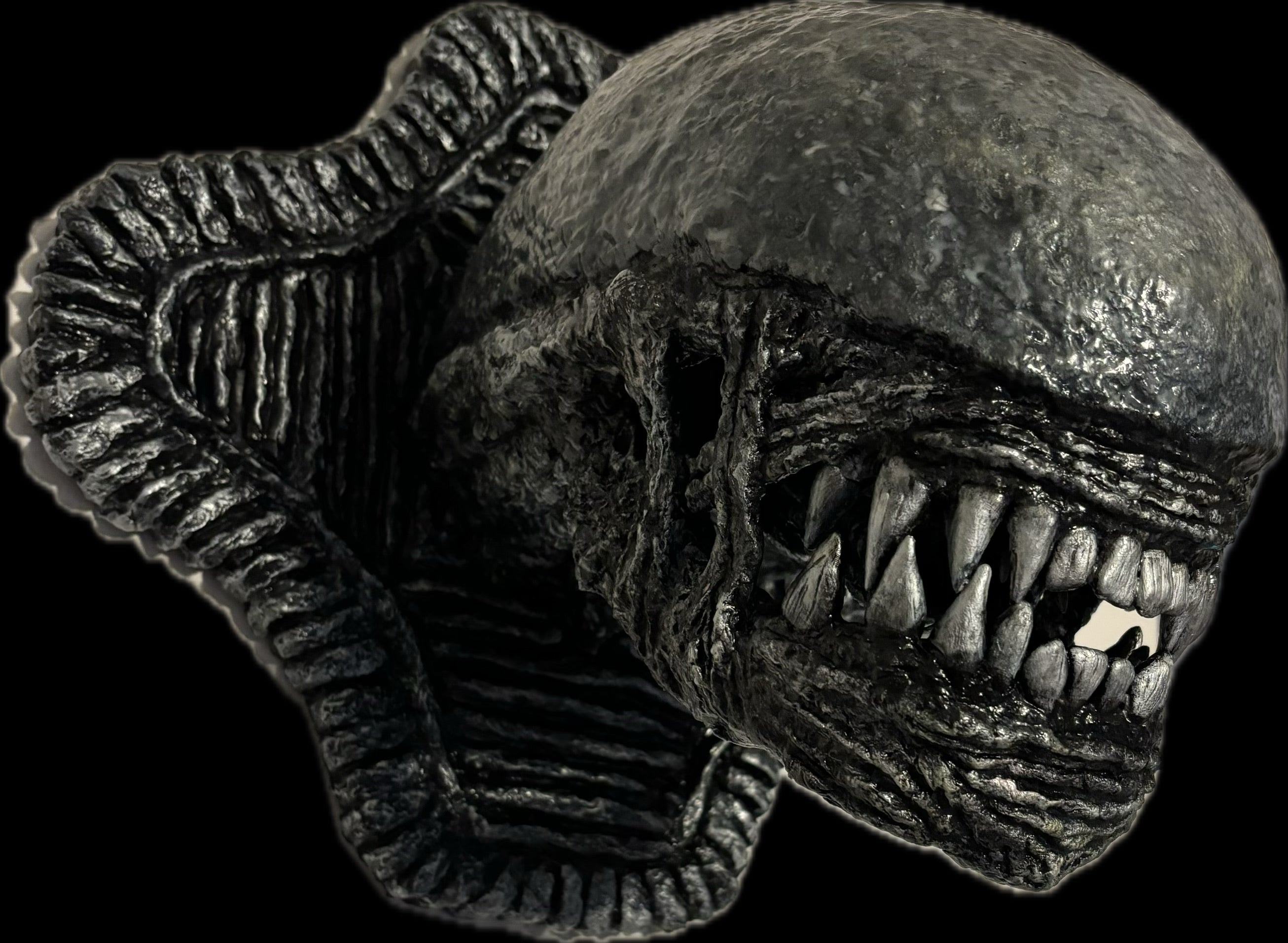 Xenomorph