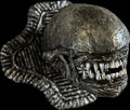 Xenomorph